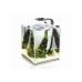 AQUAEL SHRIMP SET SMART PLANT ll 30 (черный), Креветкариум с LED освещением (6 вт)