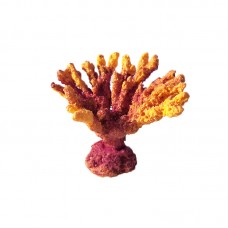 Коралл акабария, оранжевый ( акрил, 9*5*7см, Кр-321 )