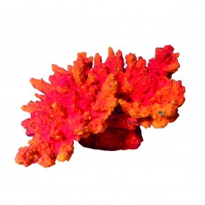 Коралл корона, коралловый ( акрил, 13*10*6.5см, Кр-261 )