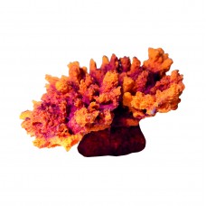 Коралл корона, оранж ( акрил, 13*10*6.5см, Кр-221 )