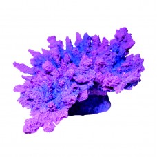 Коралл корона, сиреневый ( акрил, 13*10*6.5см, Кр-232 )