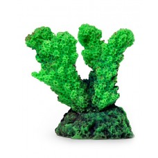 Коралл рога Зеленый Кр624