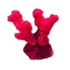 Коралл рога Розовый Кр626