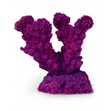 Коралл рога Фиолетовый Кр632