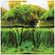 Фон двухсторонний Зеленые холмы - Подводный лес 60см
