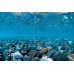 Фон двухсторонний Barbus Горная река - Зеленое море, выс 30см