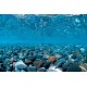 Фон двухсторонний Barbus Горная река - Зеленое море, выс 30см