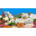 Фон двухсторонний Barbus Голубые Гаваи - Белый коралл, выс 60см