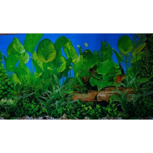 Фон для аквариума двухсторонний 30см Растения с корягой син-Растения с .