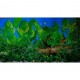 Фон для аквариума двухсторонний 30см Растения с корягой син-Растения с корягой гол