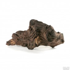 Коряга Железное дерево 40-60 см (цена за 1кг)