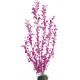 Альтернателла лиловая пластиковое растение 30см Barbus 017-30