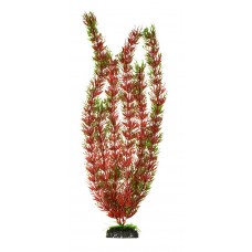 Перестолистник красный пластиковое растение 50см Barbus 001-50