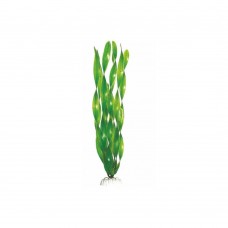Валиснерия широколистная пластиковое растение 10см Barbus 005-10
