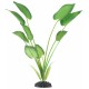 Шелковое растение Barbus Эхинодорус 20см