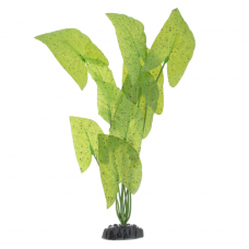 Шелковое растение Barbus Нимфея 30см