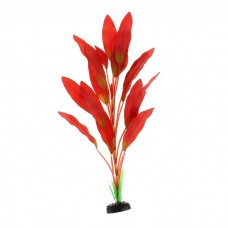 Шелковое растение Эхинодорус Амазонка красный 50см