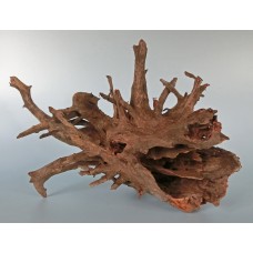 Корень мангрового дерева (водная часть)35-55 см