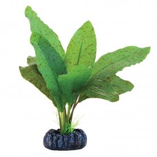 Растение шелковое Эхинодорус крапчатый 130мм