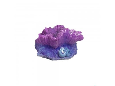 Гониопора фиолетовая КР1832