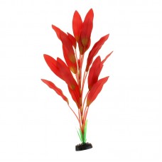 Шелковое растение Эхинодорус Амазонка красный 22см