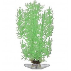 Растение Stonewort-Nitella 18см зеленое светящееся