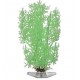 Растение Stonewort-Nitella 27см зеленое светящееся